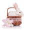 White rabbit in a basket with a lily flower.