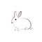 White rabbit in japanese style on a white background. Bunny in simple style. Animal sketch.