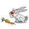 White rabbit munching on a carrot