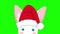 White Rabbit with Santa Hat Sneaking. Greeting Card Christmas Day.