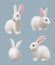 White rabbit. Science laboratory animal for experiments decent vector realistic pictures of rabbit