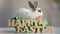 White rabbit sitting in basket with colorful eggs, happy Easter decoration