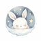 White Rabbit Sitting on Cloud