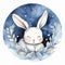 White Rabbit Sitting on Cloud