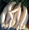 White radish at an agricultural flea market