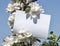 White rectangular horizontal sheet of paper card in green leaves and flowers of apple tree branches