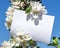 White rectangular horizontal sheet of paper card in green leaves and flowers of apple tree branches