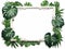 White rectangular-shaped frame surrounded by jungle-style leaf decorations , on white contour background
