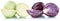 White and red cabbage sliced slice fresh vegetable isolated