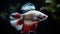 White and red dumbo betta fish. Generative AI