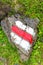 White red hiking trail mark painted on a rock in nature. The tourist signs help for orientation on hiking path. Trailblazing,