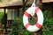 White and red life buoy hanging on tree