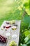 White and red wine glasses and grape on the wooden table in the vineyards, winery with green grass background. Wine