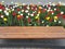 White, red, and yellow flower petals and wood bench