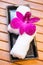 White refreshing towel with Thai orchid