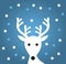 White reindeer, snowflakes on blue background