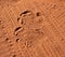 White Rhino Footprint