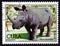 White Rhinoceros, African fauna series, circa 1978