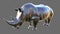 White rhinoceros on gray. African large animal. 3d illustration