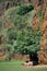 White rhinoceros lying in shade beneath cliff