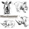White Rhinoceros sketch. Wild animal illustration.