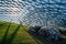 White rhododendron blossom in Zaryadye park in Moscow   under  glass roof  -  american Project