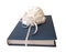 White ribbon tied blue book