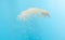 White Rice grain fly in mid air. Ready Rice falling scatter, explosion float in shape form line group. Blue sky background