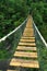 White River Suspension Bridge