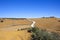 White road and plowed fields of Andalucia