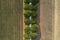 White road under de rows of pine trees Tuscany Italy