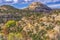 White Rock Dome Valley Trees Canyonlands Needles Utah