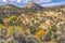 White Rock Dome Valley Trees Canyonlands Needles Utah
