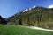 White rock and forest at spring in Pieniny