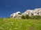 White rock from limestone in Palava, South Moravia, Czech republic