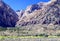 White Rock Mountain Loop, Red Rock Conservation Area, Southern Nevada, USA