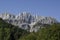 White rocks seen from the forest, towards the top of the mountain