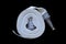 White rolled up fire extinguishing hose with coupling and nozzle, isolated