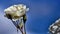 White Rose Against The Blue Sky