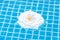 White rose floating in pool water