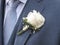 White rose on the lapel of a bridegroom