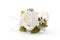 White rose lapel decoration