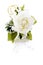 White rose lapel decoration