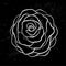 White rose outline with gray spots on a black background.