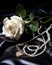 White rose and pearls in a romantic still life environment. AI Generative