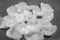 White rose petals on graphite gray background