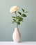 White rose in a vase on a gray background. Minimalistic still life.