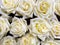 White roses arranged for Floral texture and background