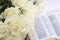 White roses and the Bible on a white wooden background