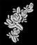 White roses embroidery on black background. ethnic flowers neck line flower design graphics fashion wearing